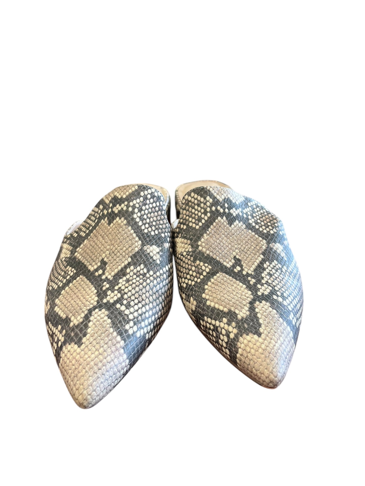 snakeskin Steven New York Mules, 9