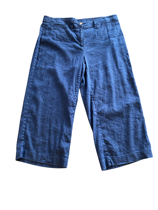 navy J Jill Pants, xl